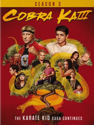 Cobra Kai Season 3