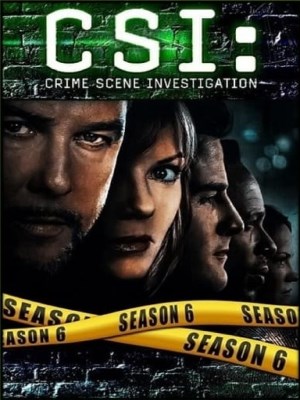 CSI: Crime Scene Investigation Season 6