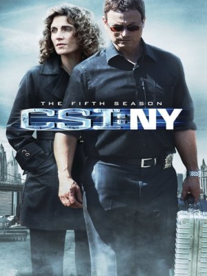 CSI: NY Season 5