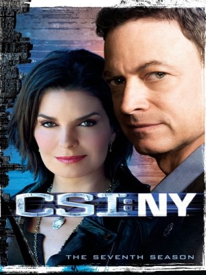 CSI: NY Season 7