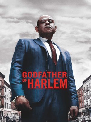 Godfather of Harlem Season 1